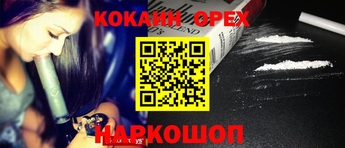 Шебекино  COCAIN Боливия  Вход с VPN  Cocaine Fish Scale 