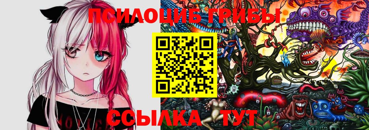 Псилоцибиновые грибы мухоморы Шебекино